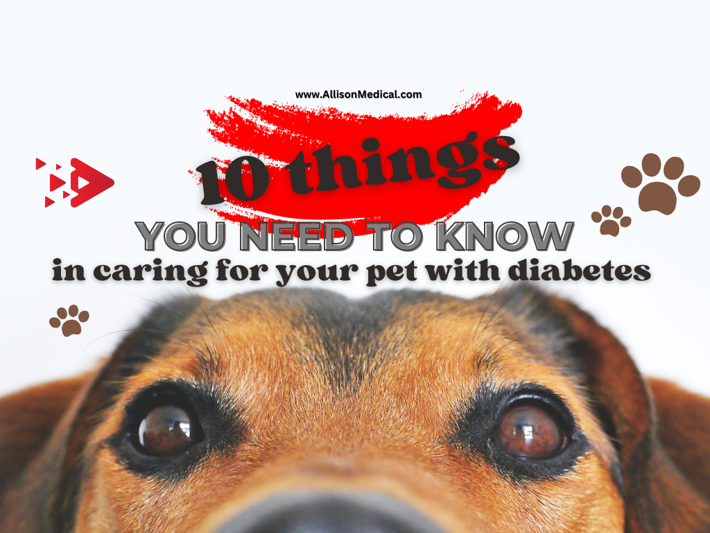 10 Things You Need to Know Caring for your pet with Diabetes