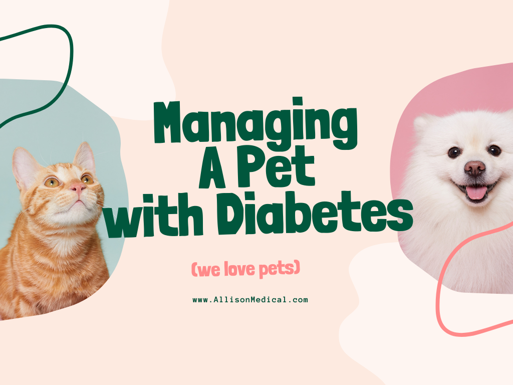 Managing a Pet with Diabetes
