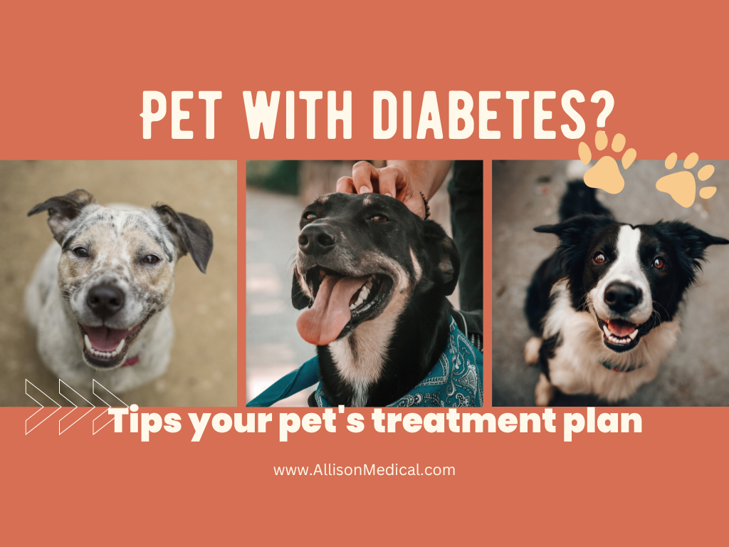 Pet with Diabetes