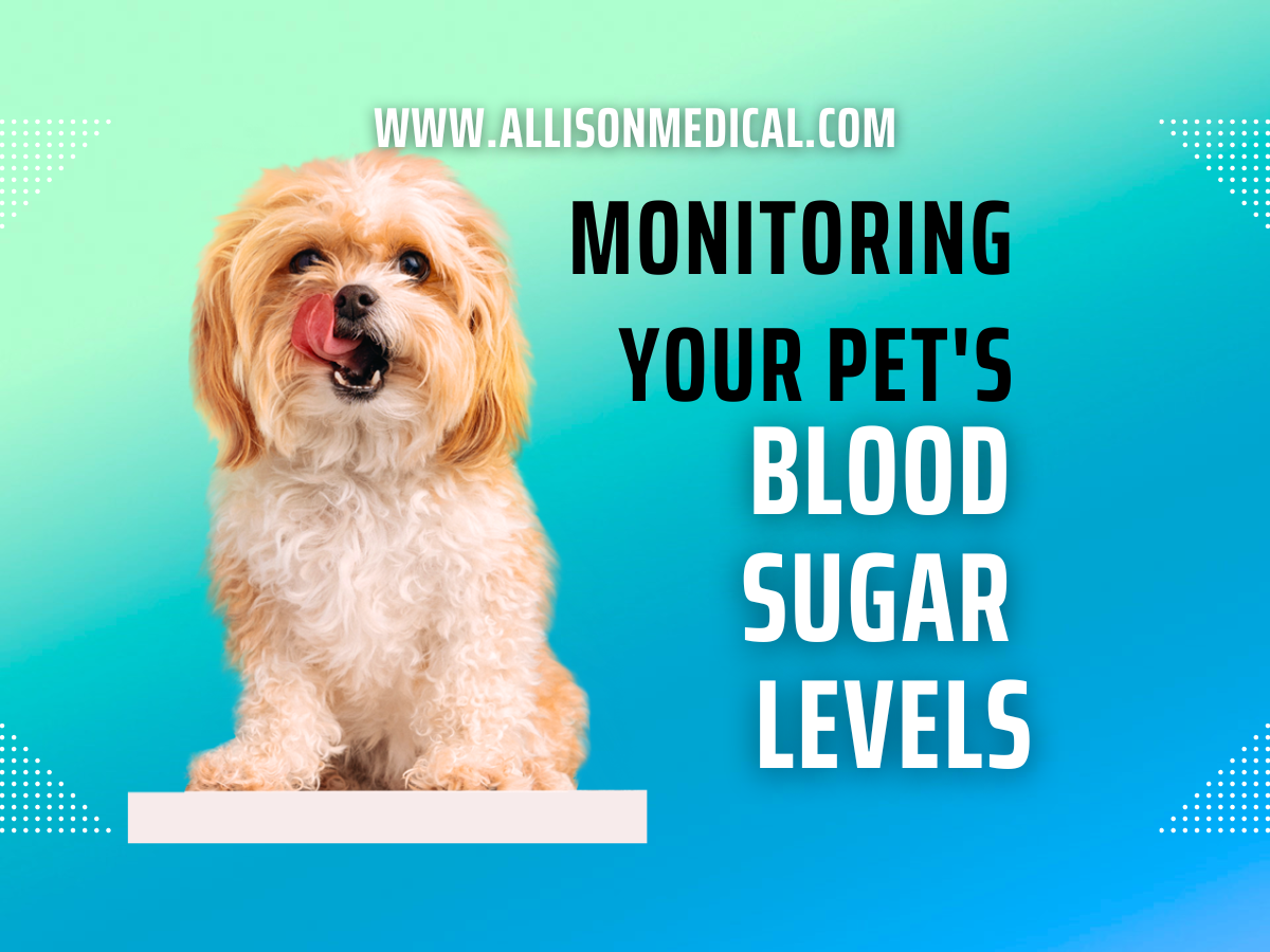 Navigating Diabetes at Home: Monitoring Your Pet's Blood Sugar Levels