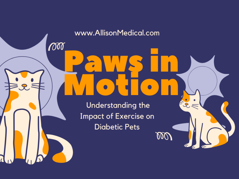 Paws in Motion: Understanding the Impact of Exercise on Diabetic Pets