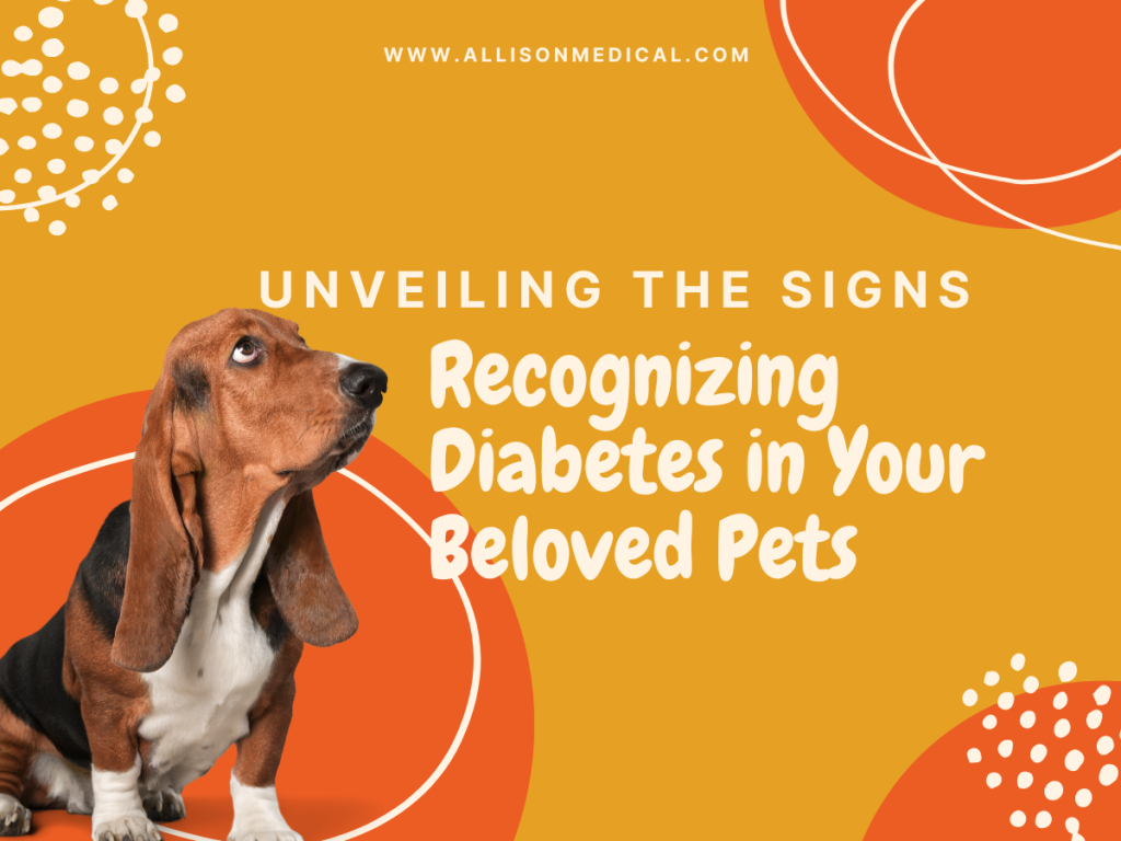 Unveiling the Signs: Recognizing Diabetes in Your Beloved Pets