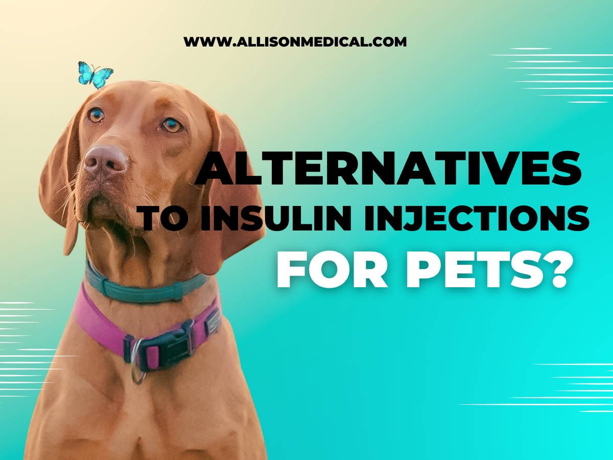 Are there Alternatives to Insulin Injections for Diabetic Pets
