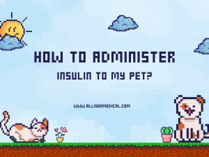 How to Administer insulin to my pet